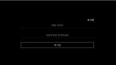 【토토사이트】 보보 (VOVO)