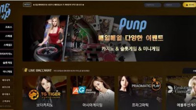 먹튀확정 펀프 (PUNP) 먹튀사이트