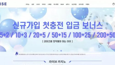 먹튀확정 라이즈 (RISE) 먹튀사이트