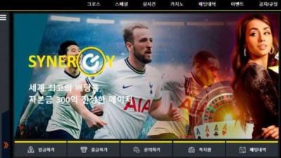 【토토사이트】 시너지 (SYNERGY)