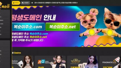 먹튀확정 복순이 먹튀사이트