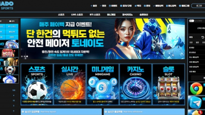 먹튀사이트 토네이도 TORNADO 먹튀검증