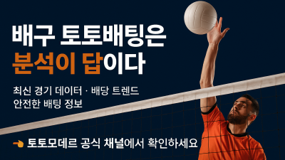 배구 토토배팅 완전정복｜고수들이 쓰는 실전 전략 & 수익 노하우 (토토모데르 2025 가이드)